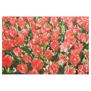 Tissu Tulipes rouges
