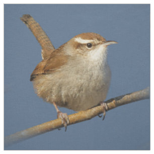 Tissu Un curieux Wren de Bewick's Wren dans l'arbre