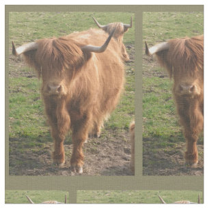 Tissu Vache de Highland
