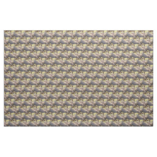 Tissu Vautour et Hyène