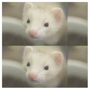 Tissu Visage de furet