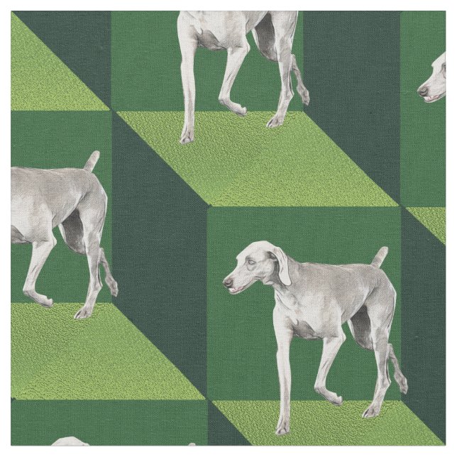 Tissu Weimaraner sur les cubes verts (Fermer)