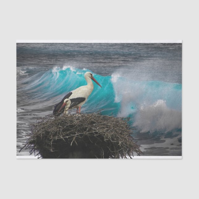 Tissue Gift Paper with Ocean and Nesting Bird (Front)