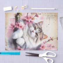 Tissue Paper