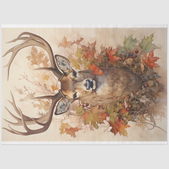 Tissue Paper (Front)