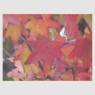 Tissue Paper - Autumn Leaves