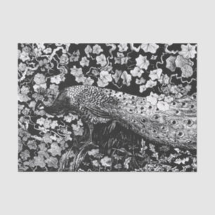 Tissue Paper BLACK AND WHITE PEACOCK