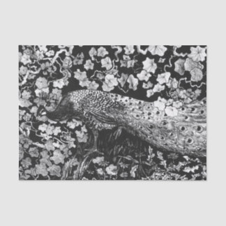 Tissue Paper BLACK AND WHITE PEACOCK