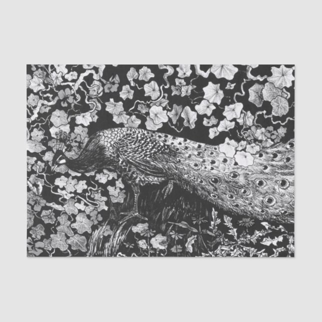 Tissue Paper BLACK AND WHITE PEACOCK (Front)