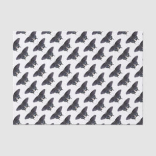 Tissue Paper Black Swallowtails