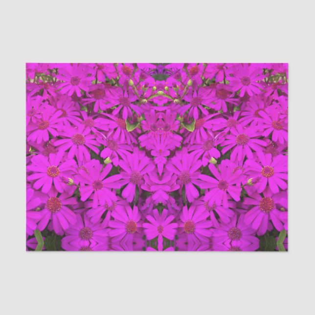 Tissue Paper Bright Pink/Purple Daisies (Front)