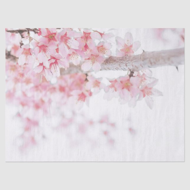 TISSUE PAPER : CHERRY BLOSSOM (Front)