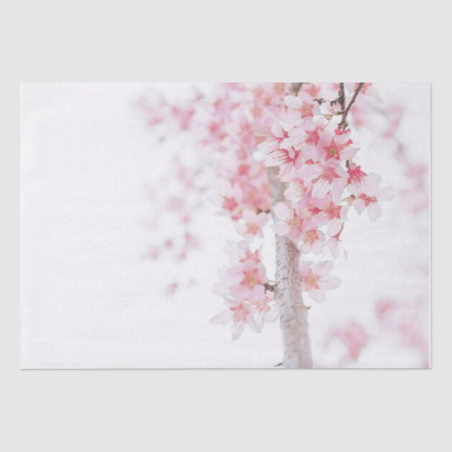 TISSUE PAPER: CHERRY BLOSSOMS WRAPPING PAPER (Front)