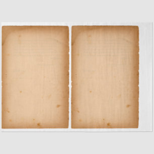 TISSUE PAPER : DÉCOUPAGE ; OLD PAPER 