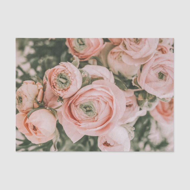 TISSUE PAPER : FLORAL : PEONIES (Front)