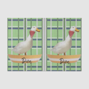 Tissue Paper Green Plaid Duck