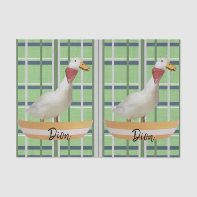 Tissue Paper Green Plaid Duck (Front)