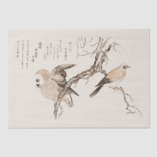 TISSUE PAPER : JAPANESE : UTAMARO KITIGAWA 1806