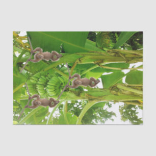 Tissue Paper Monkey Rope Banana Tree