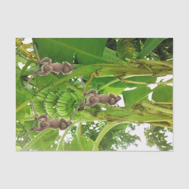 Tissue Paper Monkey Rope Banana Tree (Front)
