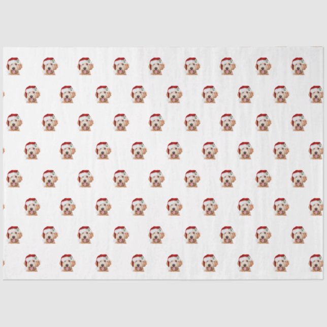 Tissue Paper of Christmas golden doodle (Front)