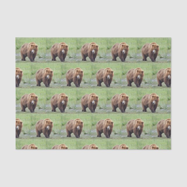 Tissue Paper of grizzly bear (Front)