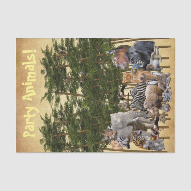 Tissue Paper Party Animals (Front)
