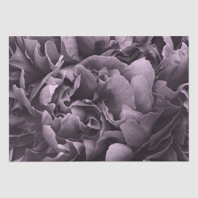 Tissue Paper Set 2 Purple Peony Petals (Front)