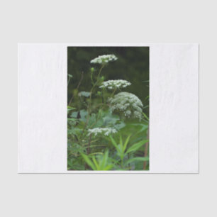 tissue paper template