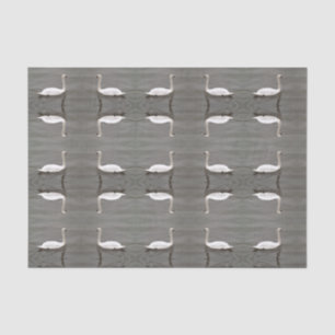 TISSUE PAPER - TURAN GLIDES