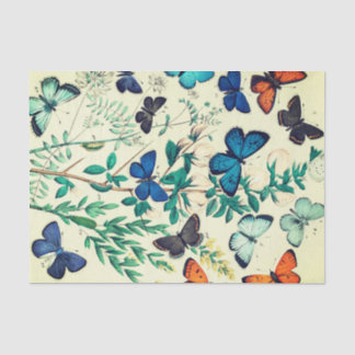 Tissue Paper Vintage Butterfly Design