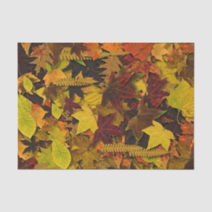 Tissue Wrapping Paper - Autumn Leaves