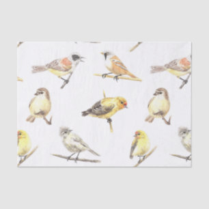 Tit birds pattern tissue paper