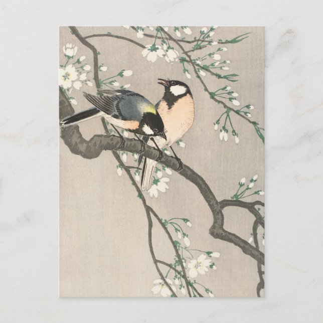 Tit on Cherry Branch Painting by Ohara Koson Postcard (Front)