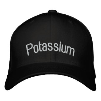 Titanium Embroidered Hat