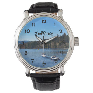 Titisee lake in the Black Forest Watch