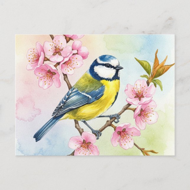 Titmouse, Sakura, Spring Postcard (Front)