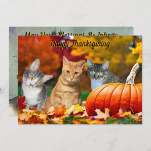 Tito, Taz, and Annie's 2025 Thanksgiving Flat Card