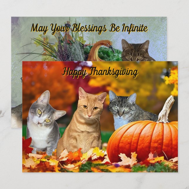 Tito, Taz, and Annie's 2025 Thanksgiving Flat Card (Front/Back)