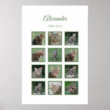 Titre : Poster personnalisé Pet Memorial