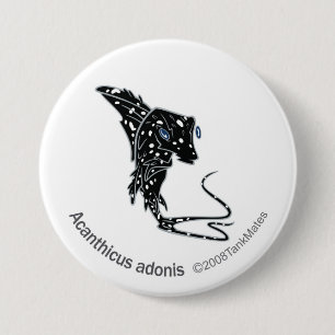 TM-09-Acanthicus adonis 3 Inch Round Button