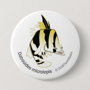 TM-12-Dathioides microlepis 3 Inch Round Button