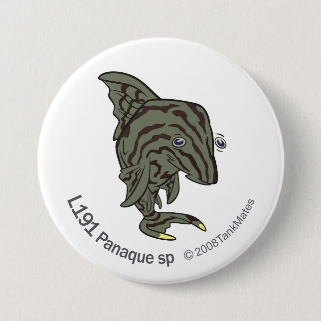 TM-13-L191 Panaque sp 3 Inch Round Button (Front)