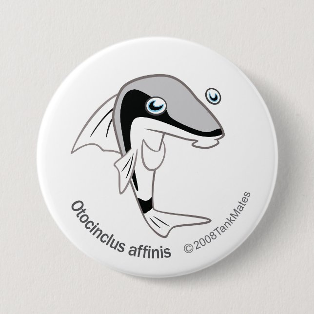TM-15-Otacinclus affinis 3 Inch Round Button (Front)