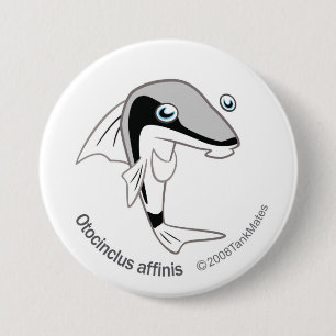 TM-15-Otacinclus affinis 3 Inch Round Button
