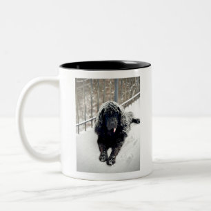 TM Bentley Coffee Mug