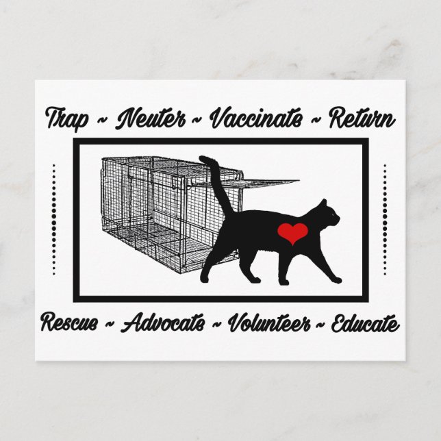 TNR Cat Rescue Trap Neuter Return Adopt Volunteer  Postcard (Front)