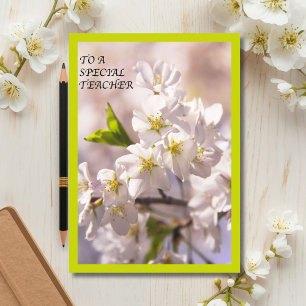 To A Special Teacher Japanese Cherry Blossom Thank You Card