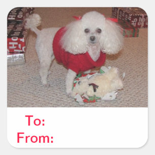 To and From Gift Tag Poodle Sticker