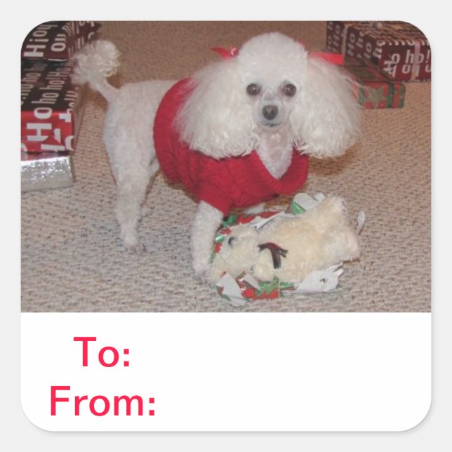 To and From Gift Tag Poodle Sticker (Front)